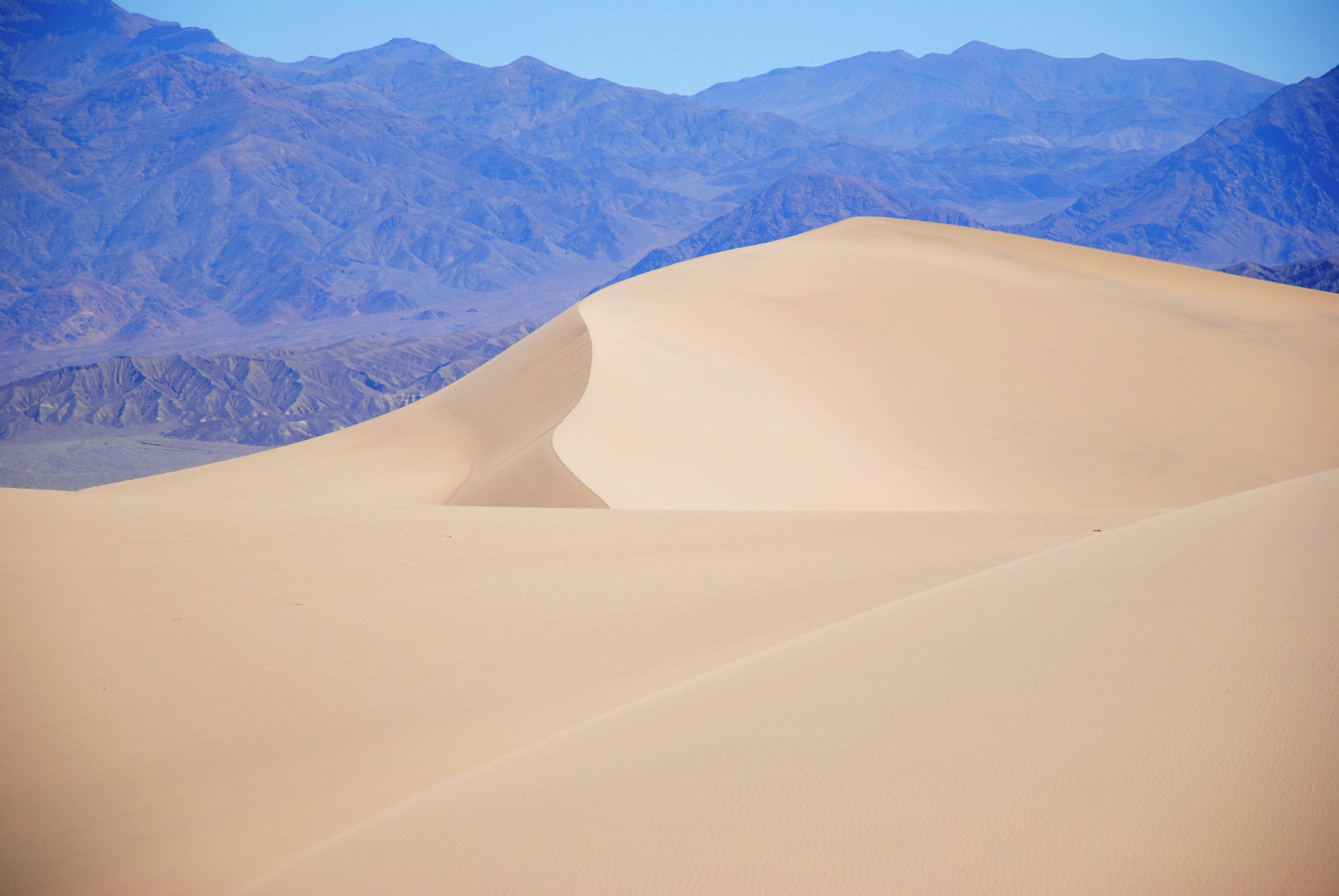 Sand dunes